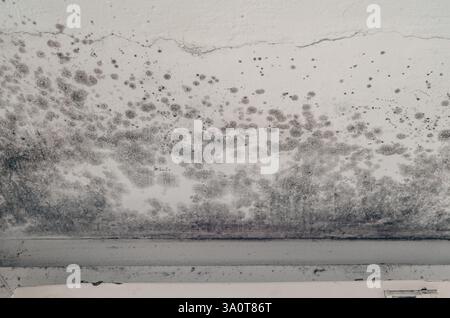 Taches de moisissure foncées sur le mur et le plafond mouillés par le cadre de fenêtre dans la chambre Banque D'Images