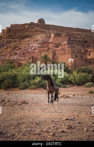 Ait Ben Haddou Kasba Banque D'Images