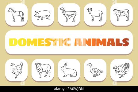 concept de texte d'animaux domestiques. Shablon pour présentation et infographie. Icônes nettes minimales pour les applications et les sites Web. Illustration de Vecteur