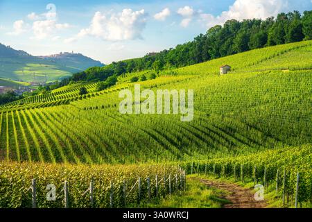 Langhe vue sur les vignobles et villages de Barolo et la Morra en arrière-plan, région du Piémont. Italie, Europe. Banque D'Images