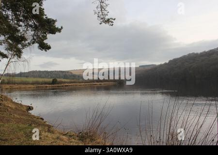 Une scène sereine au bord du lac avec des eaux calmes reflétant un ciel couvert, entouré de collines ondoyantes et de bois luxuriants. Banque D'Images