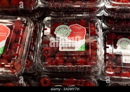 Scarsdale, NY, 4 mars 2025 : vue de boîtes de baies en vente au supermarché ShopRite à Scarsdale, NY le 4 mars 2025 alors que le président Trump imposait des droits de douane sur le Mexique, le Canada et la Chine. Les droits de douane menacent de déclencher une guerre commerciale. Beaucoup de fruits, légumes, baies sont cultivés principalement au Mexique crédit : Lev Radin/Alamy Live News Banque D'Images