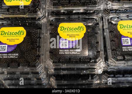 Scarsdale, États-Unis. 04 mars 2025. Vue de boîtes de baies en vente au supermarché ShopRite à Scarsdale, NY le 4 mars 2025 alors que le président Trump imposait des droits de douane sur le Mexique, le Canada et la Chine. Les droits de douane menacent de déclencher une guerre commerciale. Beaucoup de fruits, légumes, baies sont cultivés principalement au Mexique. (Photo de Lev Radin/Sipa USA) crédit : Sipa USA/Alamy Live News Banque D'Images