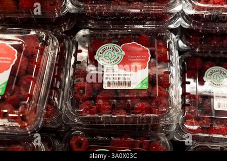 Scarsdale, New York, États-Unis. 4 mars 2025. Vue de boîtes de baies en vente au supermarché ShopRite à Scarsdale, NY le 4 mars 2025 alors que le président Trump imposait des droits de douane sur le Mexique, le Canada et la Chine. Les droits de douane menacent de déclencher une guerre commerciale. Beaucoup de fruits, légumes, baies sont cultivés principalement au Mexique (crédit image : © Lev Radin/ZUMA Press Wire) USAGE ÉDITORIAL SEULEMENT! Non destiné à UN USAGE commercial ! Banque D'Images
