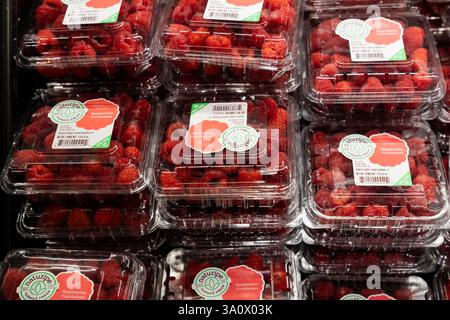 Scarsdale, États-Unis. 04 mars 2025. Vue de boîtes de baies en vente au supermarché ShopRite à Scarsdale, NY le 4 mars 2025 alors que le président Trump imposait des droits de douane sur le Mexique, le Canada et la Chine. Les droits de douane menacent de déclencher une guerre commerciale. Beaucoup de fruits, légumes, baies sont cultivés principalement au Mexique. (Photo de Lev Radin/Sipa USA) crédit : Sipa USA/Alamy Live News Banque D'Images