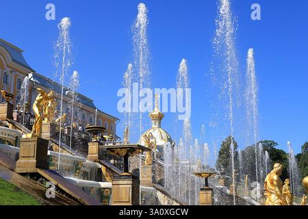 Russie, Petersburg, Peterhof, 12 juillet 2021. La photo montre la fontaine de la Grande Cascade dans le parc inférieur du Musée d'État-réserve 'Pete Banque D'Images