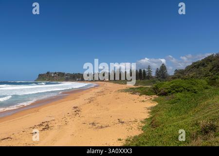 Newport Beach sur la côte est de Sydney, Australie, plage de sable presque déserte au ciel bleu, 2025 Banque D'Images