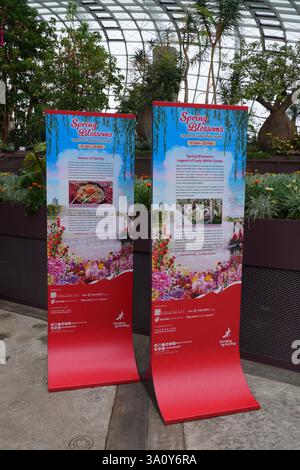 SINGAPOUR -24 janvier 2025- vue du jardin d'hiver Flower Dome aux jardins de la baie de Singapour pendant les fleurs printanières du nouvel an chinois lunaire Banque D'Images