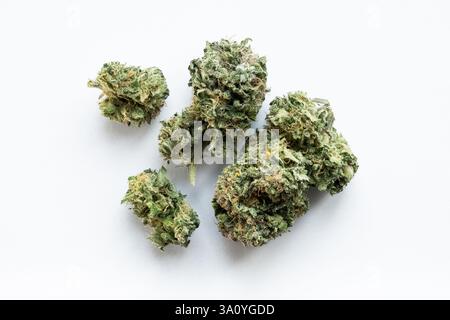 Gros plan sur les bourgeons de cannabis. Fleur de marijuana séchée sur fond blanc. Médicament pour le plaisir et l'usage médical. Les ingrédients naturels peuvent être fumés. Banque D'Images