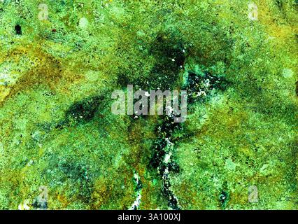 Fond abstrait texturé. Différentes nuances de vert, turquoise, olive, blanc. Taches chaotiques dispersées sur le fond. Beaucoup de petits points. Te. Bruit Banque D'Images