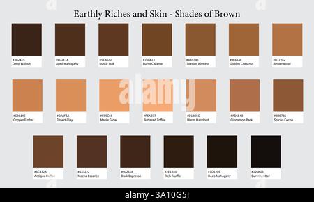 Palettes de couleur 20 nuances de brun et de peau - bois, terre, chocolat, vintage, couleurs terreuses - avec codes HEXADÉCIMAUX et noms, nuances de couleur et combinaison Illustration de Vecteur