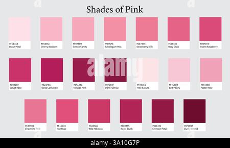 Palettes de couleurs 20 nuances de Rose - Rose, Blush, Magenta, Dusty Colors - avec codes HEXADÉCIMAUX et noms, nuances de couleurs et combinaisons Illustration de Vecteur