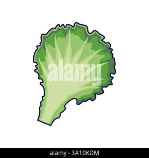 Concept d'herbes fraîches. Feuille de laitue mignonne. Illustration d'icône de dessin animé vectoriel. Chou chinois dans le style doodle. Isolé sur fond blanc. Illustration de Vecteur
