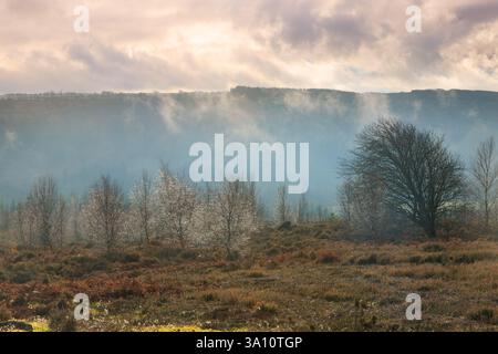 Nuages bas et lumière du soleil matinal, forêt de Hamsterley, comté de Durham, Angleterre, Royaume-Uni. Banque D'Images