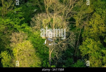 Photo aérienne, cabane dans les arbres en signe de protestation pour sauver la mine de lignite à ciel ouvert de la forêt de Hambach du défrichement, réserve naturelle de Bürgewald Blatzheimer Bürge, Bui Banque D'Images