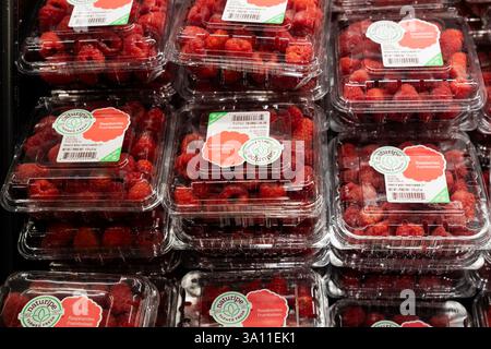 Scarsdale, États-Unis. 04 mars 2025. Vue de boîtes de baies en vente au supermarché ShopRite à Scarsdale, NY le 4 mars 2025 alors que le président Trump imposait des droits de douane sur le Mexique, le Canada et la Chine. Les droits de douane menacent de déclencher une guerre commerciale. De nombreux fruits, légumes et baies sont cultivés principalement au Mexique (photo de Lev Radin/Pacific Press) crédit : Pacific Press Media production Corp./Alamy Live News Banque D'Images