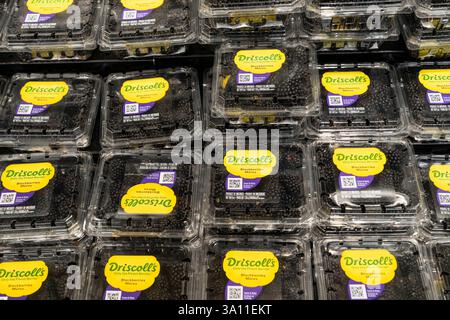 Scarsdale, États-Unis. 04 mars 2025. Vue de boîtes de baies en vente au supermarché ShopRite à Scarsdale, NY le 4 mars 2025 alors que le président Trump imposait des droits de douane sur le Mexique, le Canada et la Chine. Les droits de douane menacent de déclencher une guerre commerciale. De nombreux fruits, légumes et baies sont cultivés principalement au Mexique (photo de Lev Radin/Pacific Press) crédit : Pacific Press Media production Corp./Alamy Live News Banque D'Images