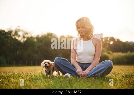 Jeune femme est avec deux petits chiens sur le terrain d'été. Banque D'Images