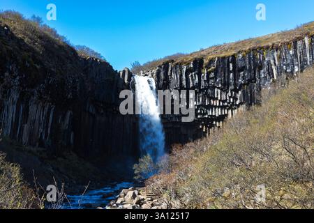 Islande – la majestueuse cascade de Svartifoss entourée de colonnes basaltes Banque D'Images