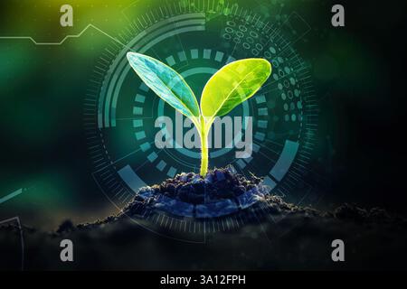 Technologies agricoles Young Sprout, concept de recherche scientifique, fond numérique biologique Banque D'Images
