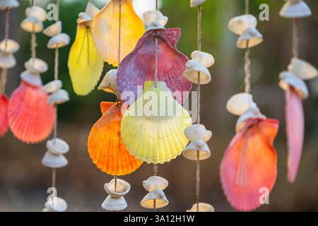 Thaïlande, province de Rayong, île de Ko Samet, guirlande de coquillages Banque D'Images
