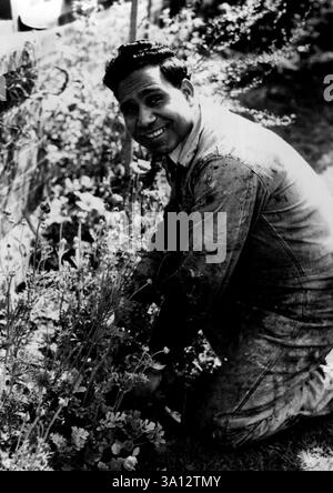 Apporté la paix au troublé Congrès ACTU - pour un temps. Le ténor aborigène Harold Blair, dont les notes splendides ont été parmi les rares choses harmonieuses lors de la récente réunion de l'ACTU à Melbourne, se détend dans son jardin aujourd'hui. Le mouvement syndical paiera pour son éducation musicale. 7 septembre 1947. Banque D'Images