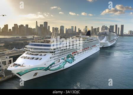 Miami, Floride, États-Unis - 4 janvier 2025 : Norwegian Jade et d'autres navires de croisière amarrés dans le port de Miami. Banque D'Images