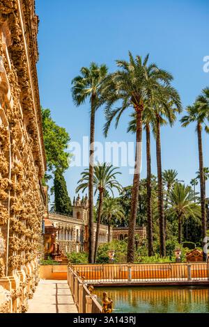 Sentier bordé de palmiers menant à la Galería de los Grutescos dans le Royal Alcázar : une oasis de jardin d'inspiration mauresque rayonnant la majestueuse grandeur andalouse de Séville Banque D'Images