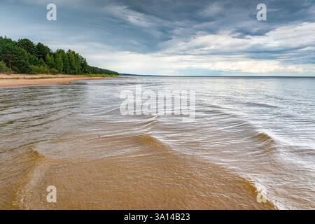 Rivage du lac Peipus près du village de Kauksi, Estonie Banque D'Images