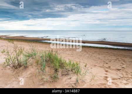 Rivage du lac Peipus près du village de Kauksi, Estonie Banque D'Images