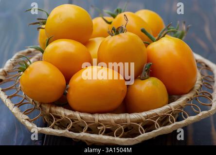 Tomates orange et jaunes dans un panier en osier Banque D'Images