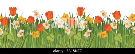 Vecteur modèle sans couture avec des fleurs de printemps et de l'herbe verte. Tulipes rouges, jonquilles jaunes et blanches sur le pré. Bannière avec des plantes en bas et un espace pour le texte. Illustration de Vecteur