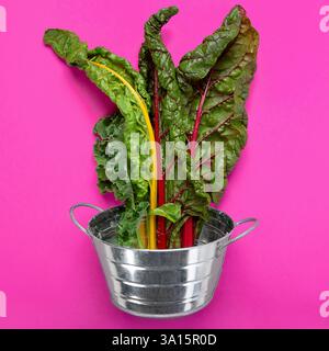 Feuilles de chou frisé vert frais sur fond rose. Ingrédients alimentaires sains. Vue de dessus. Banque D'Images