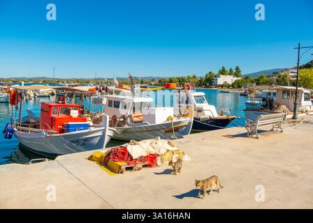 Grèce, district régional d'Evia, Neos Pyrgos, petit port de pêche Banque D'Images