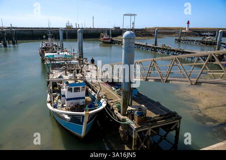 France, Charente maritime, Ile Oléron, port de la Cotinière Banque D'Images