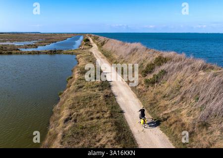 France, Vendée, île de Noirmoutier, Barbatre, cyclistes sur la digue de la côte est dans la réserve naturelle du polder de Sébastopol (vue aérienne) Banque D'Images