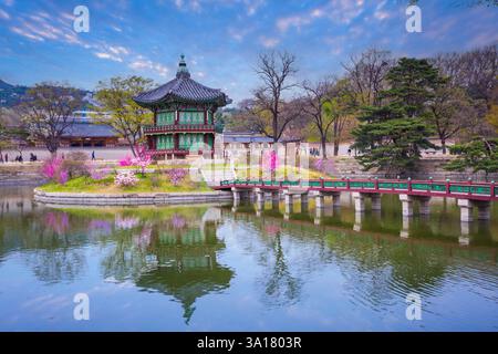 Palais Gyeongbokgung avec cerisier en fleurs au printemps à Séoul, Corée du Sud. Banque D'Images
