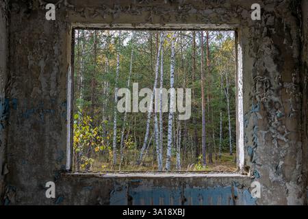 Vue à travers le trou pour une fenêtre dans une maison de panneau abandonnée endommagée. Banque D'Images