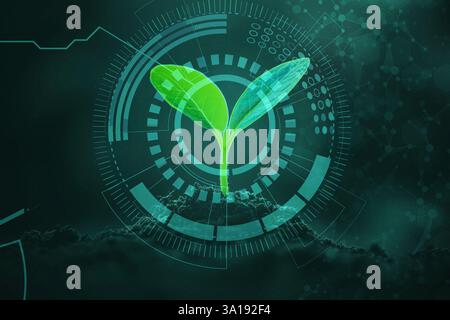 Technologies agricoles Young Sprout, concept de recherche scientifique, fond numérique biologique Banque D'Images