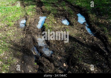 Après une averse de pluie, des traces boueuses se tissent à travers un champ vert, avec de petites flaques se formant le long des marques de pneus. Puy de Dome. Auvergne. France Banque D'Images