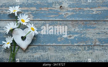 Fleurs de Marguerite avec une forme de coeur sur vieux fond en bois Banque D'Images