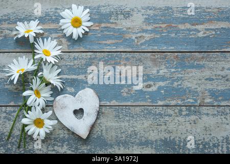Fleurs de Marguerite avec une forme de coeur sur vieux fond en bois Banque D'Images