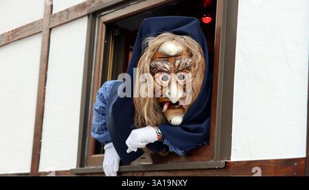 Grand défilé de carnaval Souabe-Alemannique Banque D'Images