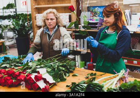 Deux fleuristes travaillent dans une pépinière. Couple travaille dans l'entreprise de jardinage sur une journée de travail ordinaire. Sur la photo une femme blonde et une jeune femme aux cheveux roux. Images authentiques. Banque D'Images