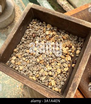 Fond alimentaire avec des grains de café vert non torréfiés dans une vieille boîte en bois. Vue de dessus. Banque D'Images