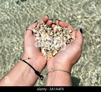 Mains en forme de coeur avec des coquillages de la plage Playa Conchal au Costa Rica. Banque D'Images