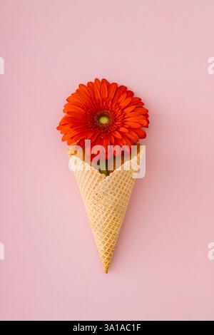 Fleur rouge gerbera Marguerite dans un cône de crème glacée gaufre sur fond rose pastel. Concept minimal de printemps et d'été. Coupe plate. Banque D'Images