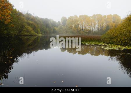 Lac Budschimoor, Fröruper Berge, Oeversee Banque D'Images