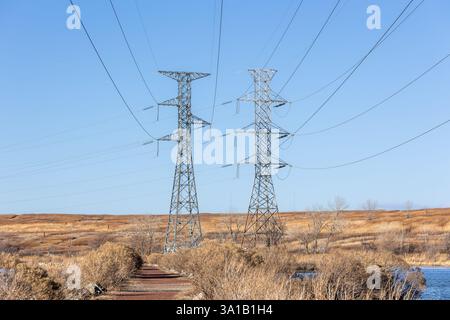 Deux tours de transmission de puissance sont hautes dans un marais d'hiver, avec un ciel bleu clair derrière. Un chemin en bas à gauche mène l'œil du spectateur Banque D'Images
