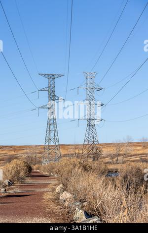 Une perspective verticale de deux imposantes structures de transmission de puissance debout dans un marais hivernal. Le ciel bleu en arrière-plan Banque D'Images